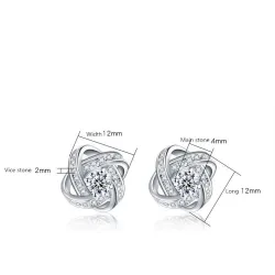 Exclusive small round earrings with crystals - 925 sterling silverEarrings