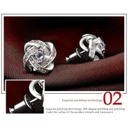 Exclusive small round earrings with crystals - 925 sterling silverEarrings