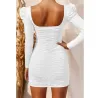 Sexy backless long sleeve mini dressDresses