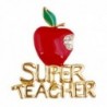 SUPER TEACHER - red bitten apple with crystals - broochBrooches