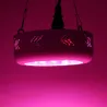 360W UFO 36 LED grow light - full spectrum - double chips - hydroponicGrow Lights