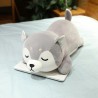 Lying Husky dog - plush toy - pillowCuddly toys