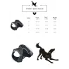 Dog's harness - with LED - adjustable - reflective - waterproofCollars & Leads