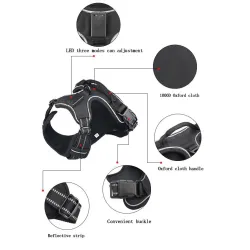 Dog's harness - with LED - adjustable - reflective - waterproofCollars & Leads
