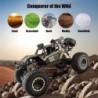 RC car - 4WD Off-road Buggy - 2.4G remote control - 1:8 - 50cmCars