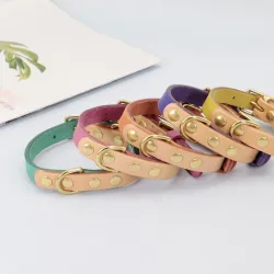 Leather collar - for dogs / cats - personalized pet name - phone number - ID tagCollar & Leads