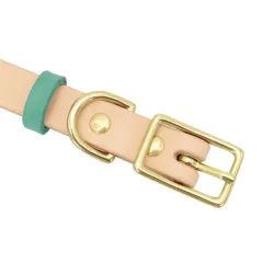 Leather collar - for dogs / cats - personalized pet name - phone number - ID tagCollar & Leads