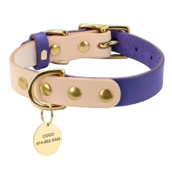 Leather collar - for dogs / cats - personalized pet name - phone number - ID tagCollar & Leads