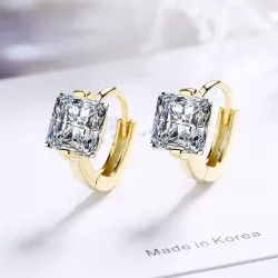 Luxurious small round earrings - with crystal - 925 sterling silverEarrings