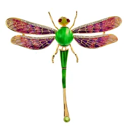 Colorful crystal dragonfly broochBrooches