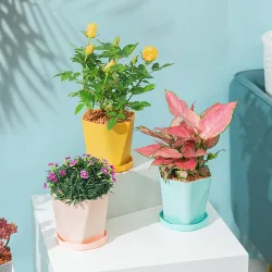 Geometric flower pot - plastic resinGarden