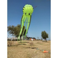 Sports beach kite - inflatable - foldable - striped octopus - 8MKites