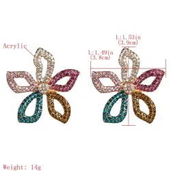 Star / flower shaped crystal earringsEarrings