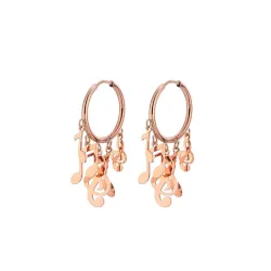 Small hoop earrings - with hanging music notesEarrings