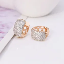 Elegant small hoop earrings - full zirconEarrings