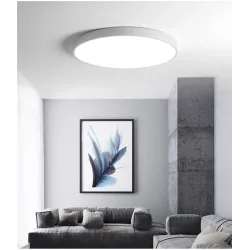 Modern round ceiling lamp - LED - 12W - 18W - 24W - 36W - 48WCeiling lights