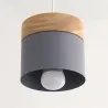 Nordic style ceiling lamp - LED - E27Ceiling lights