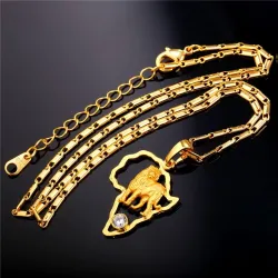 Africa map / lion pendant - with necklaceNecklaces