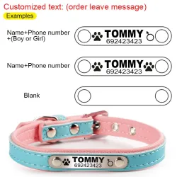 Dogs / cats collar - ID Tag - personalized - engraved - leatherCollar & Leads