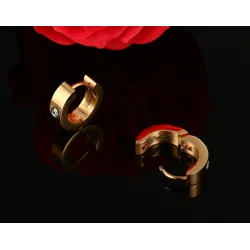 Small hoops earrings - with zirconia - stainless steelEarrings
