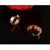 Small hoops earrings - with zirconia - stainless steelEarrings