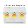 RGB LED floodlight - outdoor reflector - remote control - waterproof - 220V / 110V - 20W - 30W - 50W - 100WFloodlights