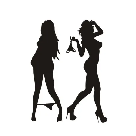 Sexy woman in underwear sticker black / silverStickers