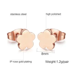 Rose Gold Stainless Steel Earrings 2 pairEarrings