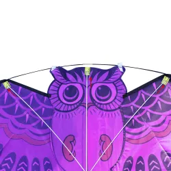 Colorful owl easy fly kite 110 * 50cmKites