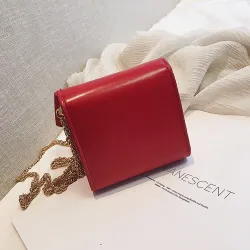 Small elegant bag with bow & chainBags