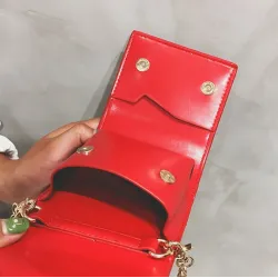 Small elegant bag with bow & chainBags