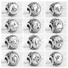 925 sterling silver - 12 constellation zodiac - beads for braceletBracelets